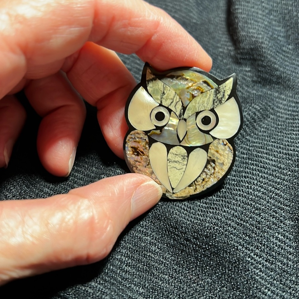 Pre-owned Owl Pin